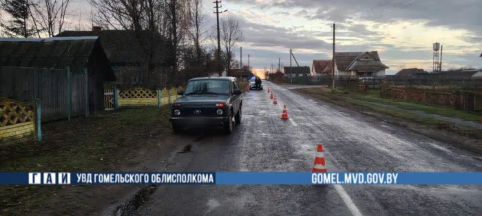 В Жлобинском районе 19-летняя водитель насмерть сбила 85-летнего пешехода