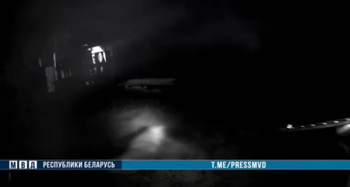 В Брагинском районе милиционеры спасли сельчан от нападения волка