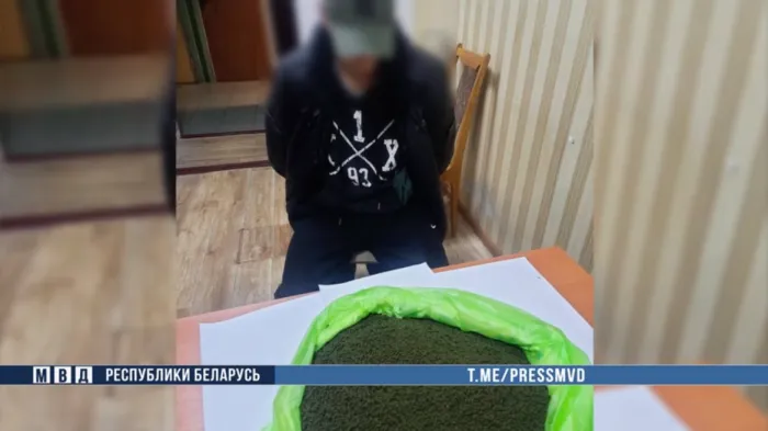 В Гомеле задержали распространителя насвая