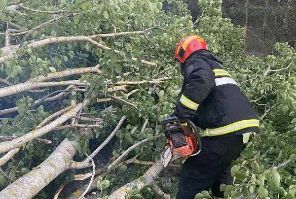 В Добруше и Корме спасатели оказали помощь в распиловке деревьев