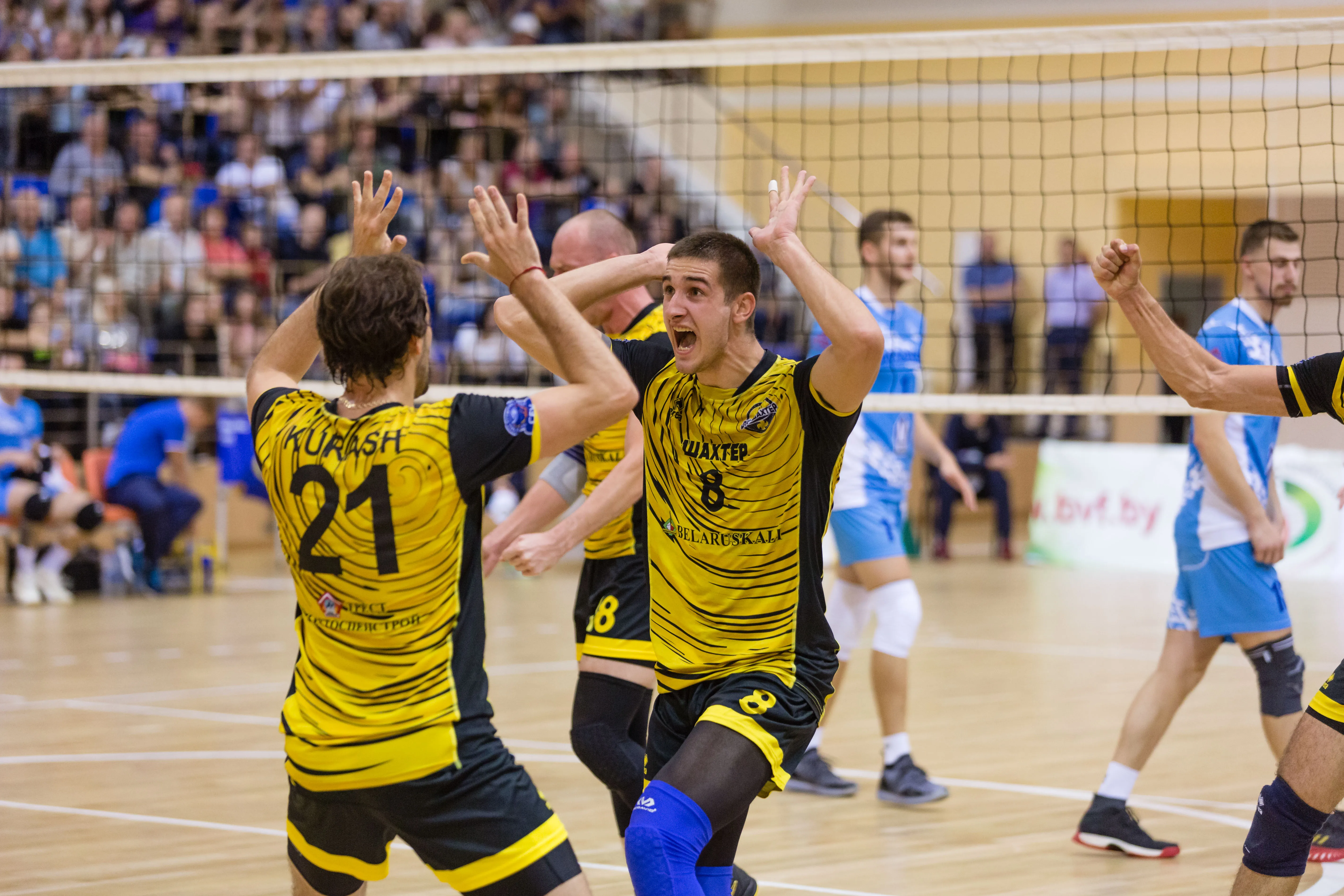 Клуб из Солигорска впервые выиграл Суперкубок Беларуси по волейболу
