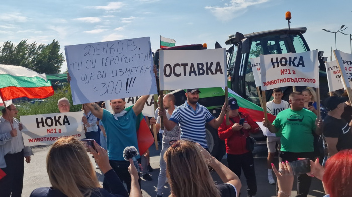 Брюссельский сговор. Как европейские фермеры стали заложниками украинского зерна