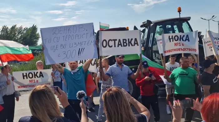 Брюссельский сговор. Как европейские фермеры стали заложниками украинского зерна