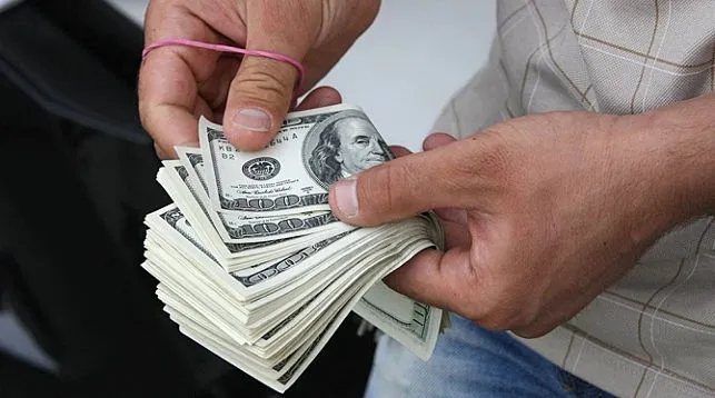 В Жлобине задержан валютчик с внушительной суммой в российских рублях и долларах 