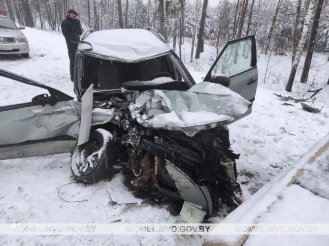 В Речицком районе легковой автомобиль врезался в грузовик «Даф», пострадали два человека