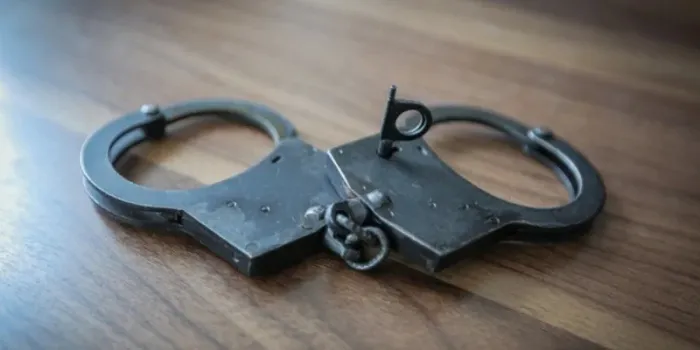 За растление падчерицы задержан житель Жлобина