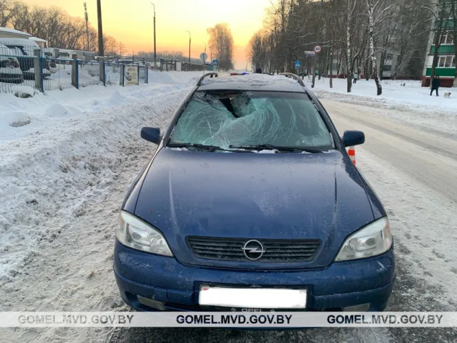 Двух пешеходов сбили в Гомельской области 4 декабря