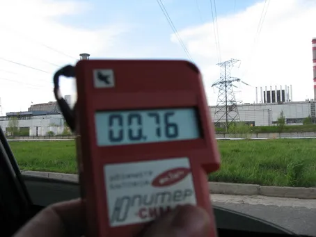 Содержание радионуклидов в житковичской чернике превышало норму в 8 раз, наровлянской лосятине — почти в 10 раз, белых грибах из Ветковского района — в 12,5 раза