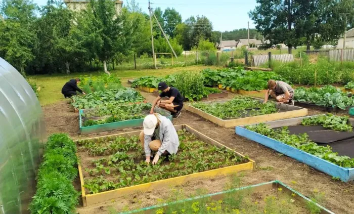 Свое вкуснее: за каникулы школьники из Боровиков обеспечили себя овощами на будущий учебный год