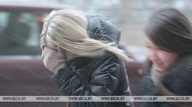 Снег с дождем и сильный ветер ожидаются в Беларуси 14 января