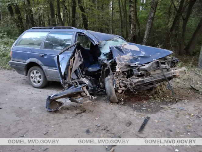 В Добрушском районе произошло смертельное ДТП, в котором погибла женщина-пассажир