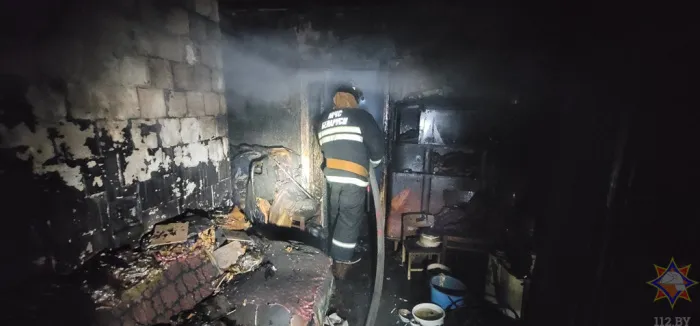 В Жлобинском районе на пожаре погибла хозяйка дома