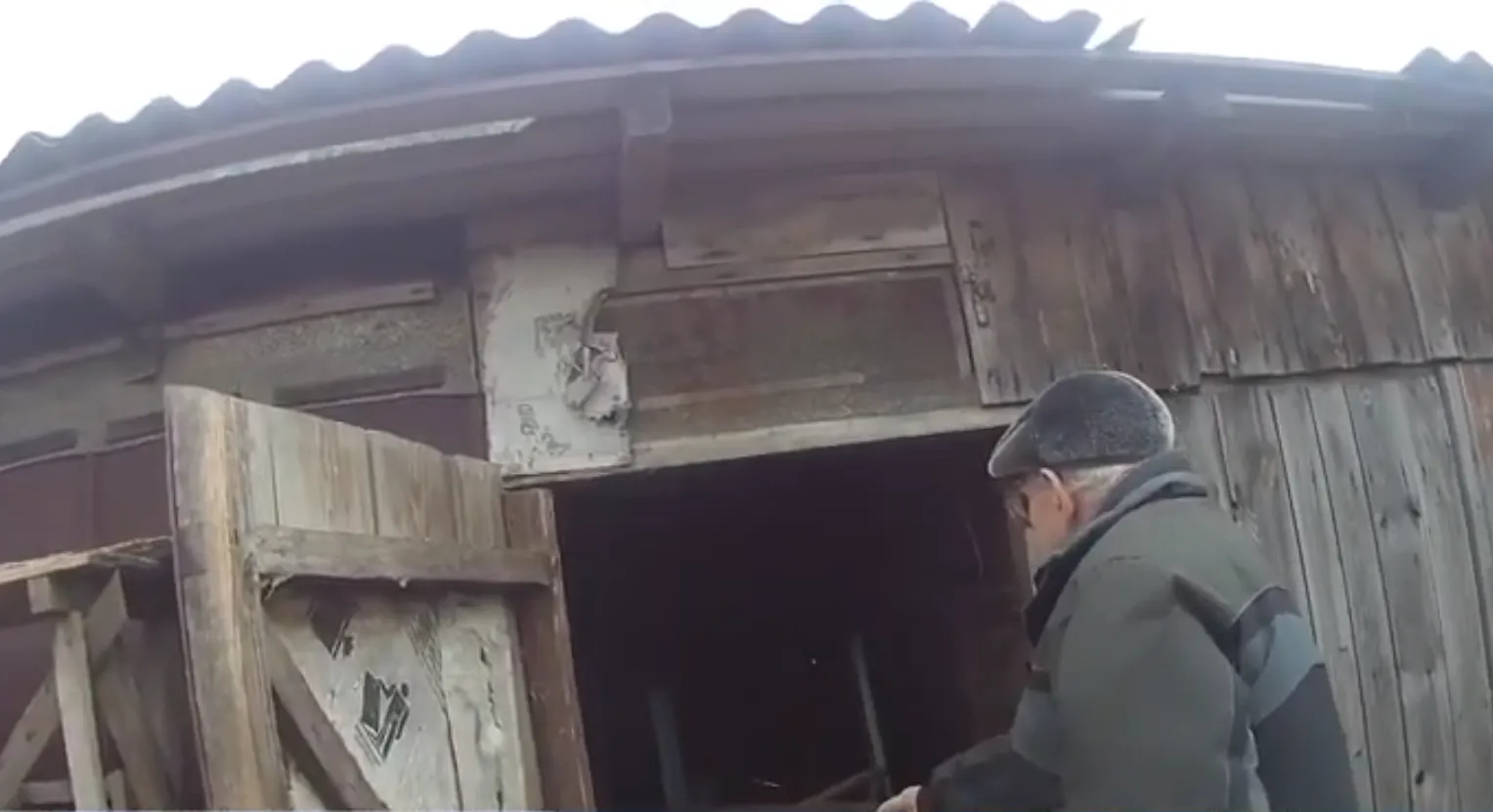 В Хойникском районе сотрудники милиции обезвредили дикую лису с признаками бешенства