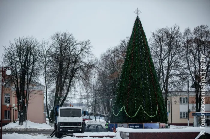 Фоторепортаж. Заснеженная Ветка