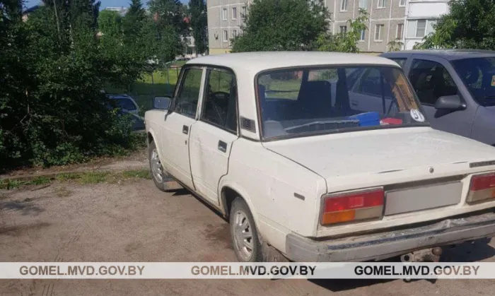 В Мозырском районе два местных жителя угнали автомобиль. Их задержали