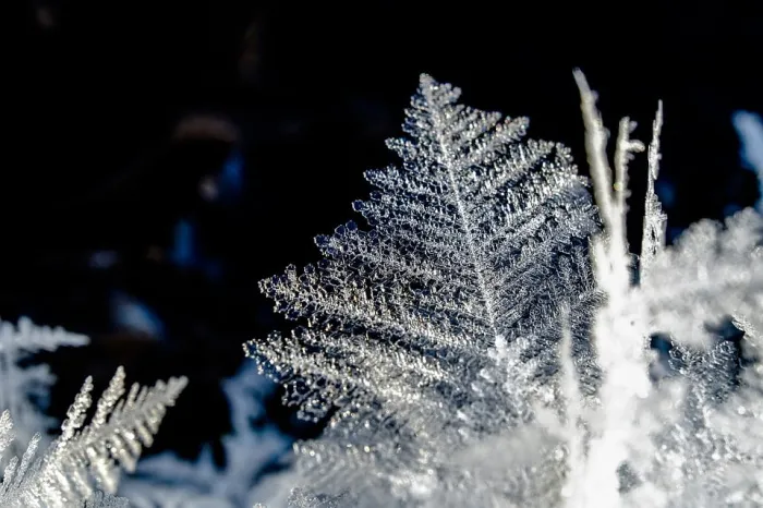 Без осадков и до -4°C ночью ожидается в Гомеле 15 февраля