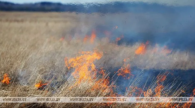 Тело обгоревшего мужчины нашли возле железной дороги в Речицком районе