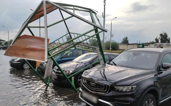 Последствия грозового фронта на Гомельщине: два раза спасатели выезжали на оказание помощи