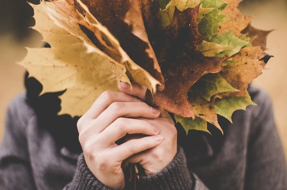 До +22°С ожидается в Беларуси 20 октября
