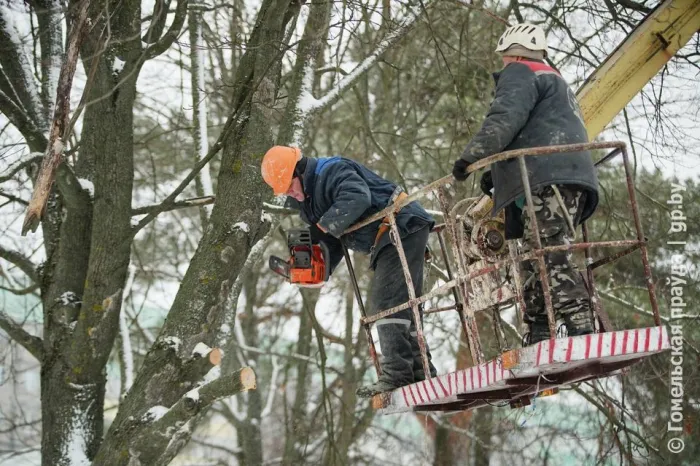 Вместе за чистоту: в областном центре прошел городской субботник