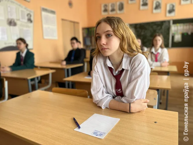 Мыслят глубоко, сочиняют ловко: ребята из Мозырского областного лицея написали диктант с продолжением