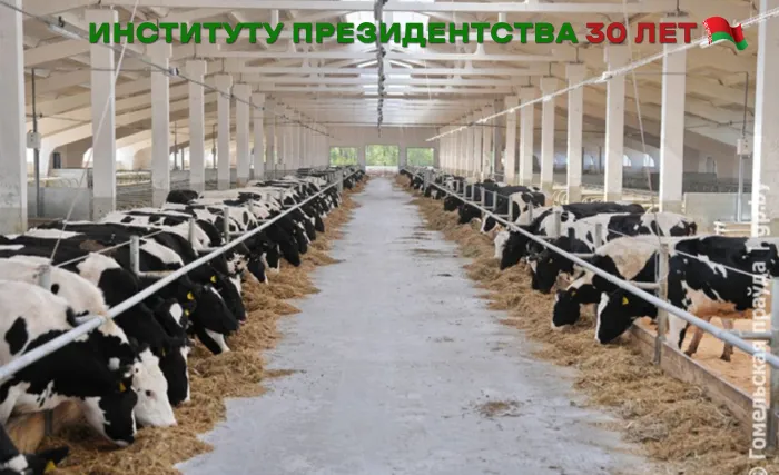 Сельское хозяйство – ключевая отрасль, исконно близкая и понятная белорусам