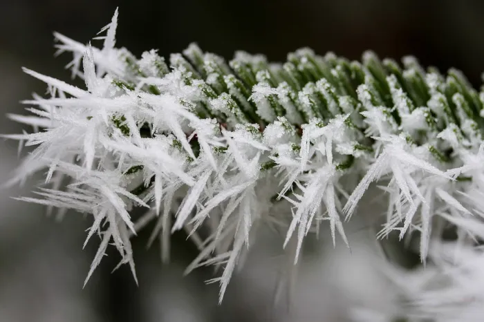 Облачно с прояснениями и до -10°C ночью ожидается в Гомеле 5 декабря
