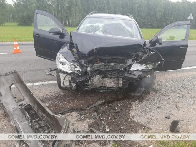 В Светлогорском районе в аварии пострадали три человека 