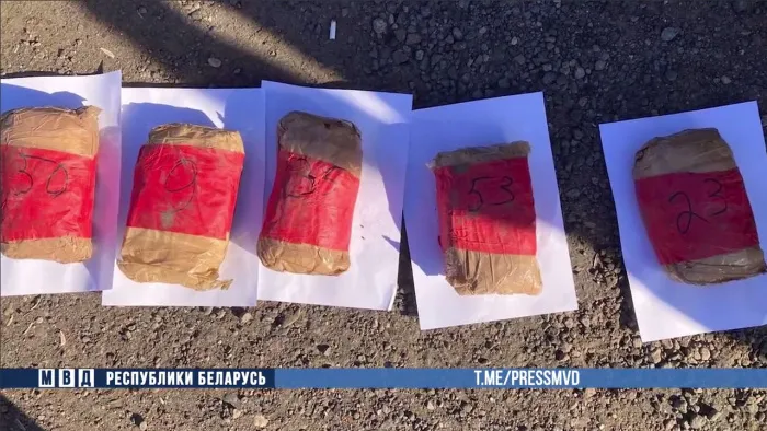 В Добрушском районе задержали наркокурьера 