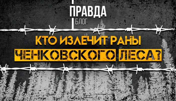 ПравдаБлог. Кто излечит раны ченковского леса?