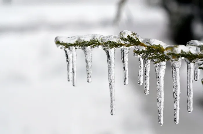 Гололедица и до -6°C ночью ожидается в Гомеле 13 января