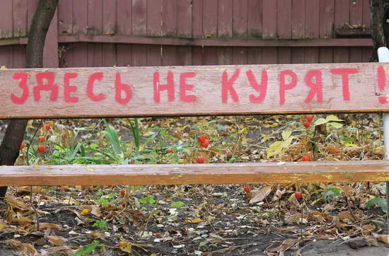 Гомель, в котором мы: городские цветы осенью