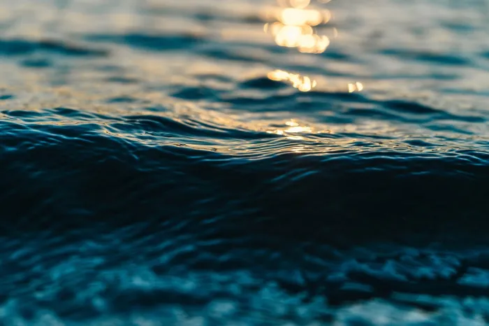 В Гомеле утонул рыбак при попытке достать снасти из воды. Личность устанавливается