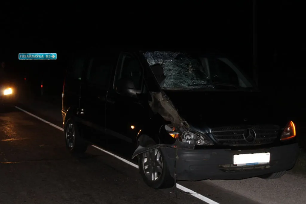 В Светлогорском районе нетрезвый пешеход попал под колеса авто. Он погиб на месте