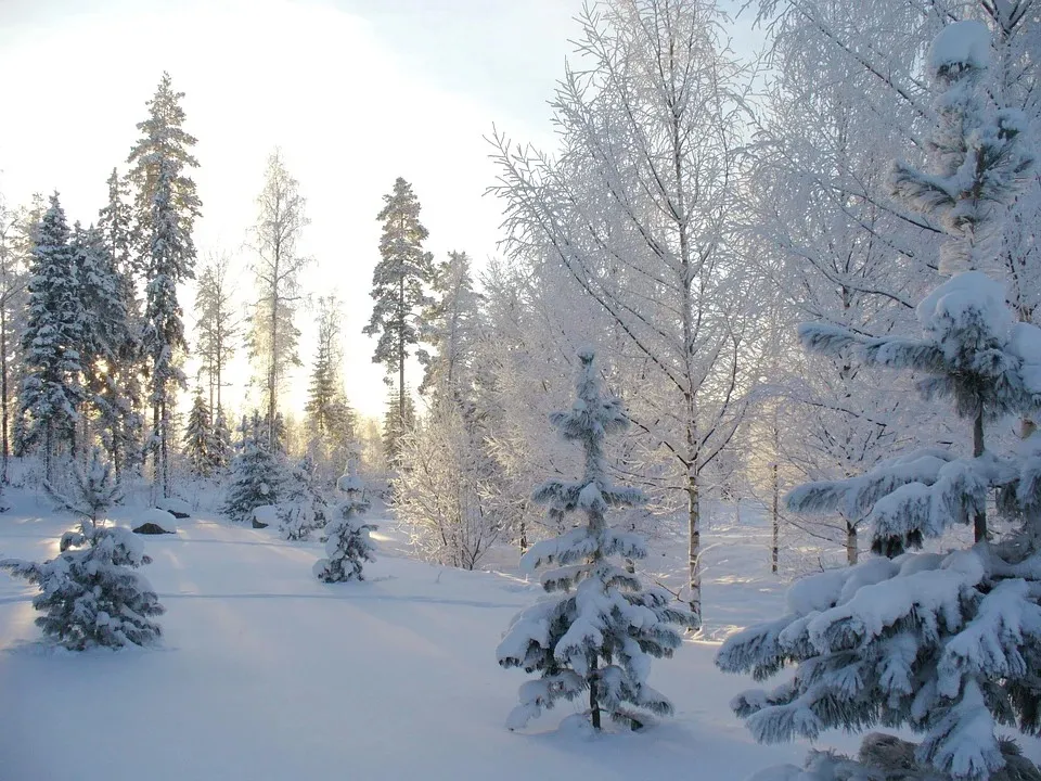 Облачно и до -8°С ночью ожидается в Гомеле 31 января