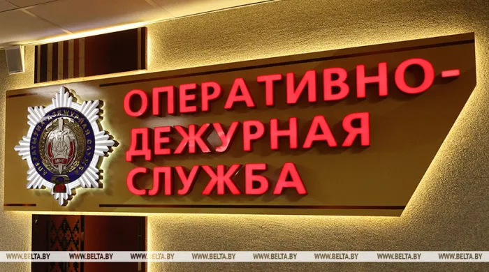 В Жлобине из арбалета подстрелили кота. Живодера разыскивает милиция