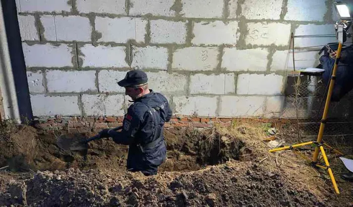 В Гомельском районе пенсионер убил дачника и закопал его на участке. Он под стражей