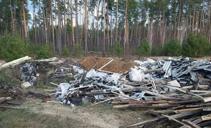 Более 7,5 тысяч рублей возмещено за вред окружающей среде по требованию прокуратуры Гомельской области