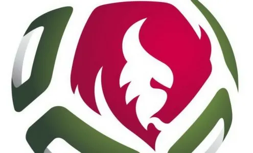 У сборной Беларуси по футболу новая форма - в вишневых и мятных тонах