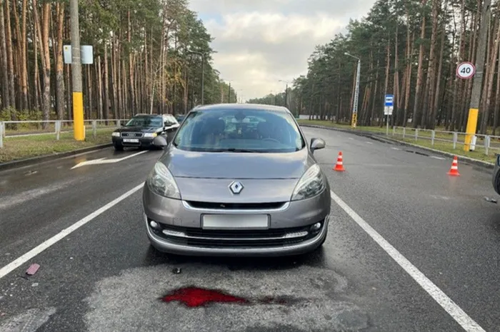 Водитель, сбивший в Гомеле на переходе женщину, осужден на 2,5 года ограничения свободы с лишением прав