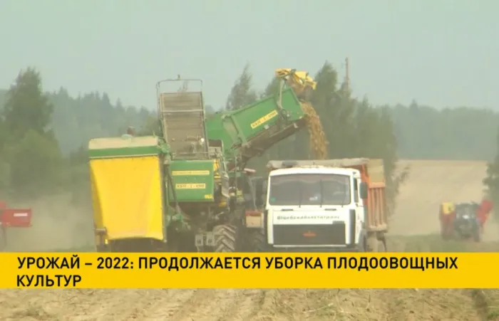 Уборочная-2022: продолжается уборка плодоовощных культур