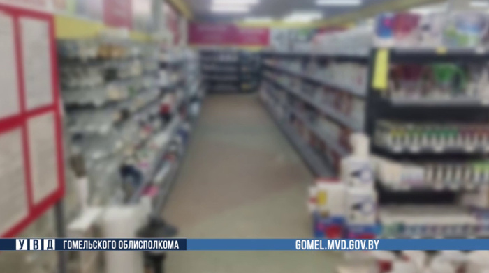 В Рогачевском районе заведующая магазином похищала деньги на погашение кредитов и личные нужды