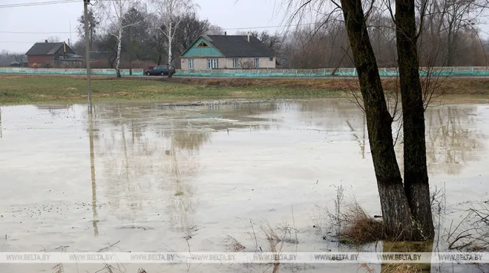 Талые воды подтопили дачные участки в Гомельской области