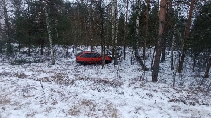 В Светлогорском районе автомобиль съехал в кювет
