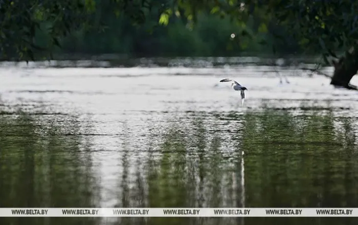 На Днепре у Жлобина уровень воды приближается к отметке, лимитирующей судоходство