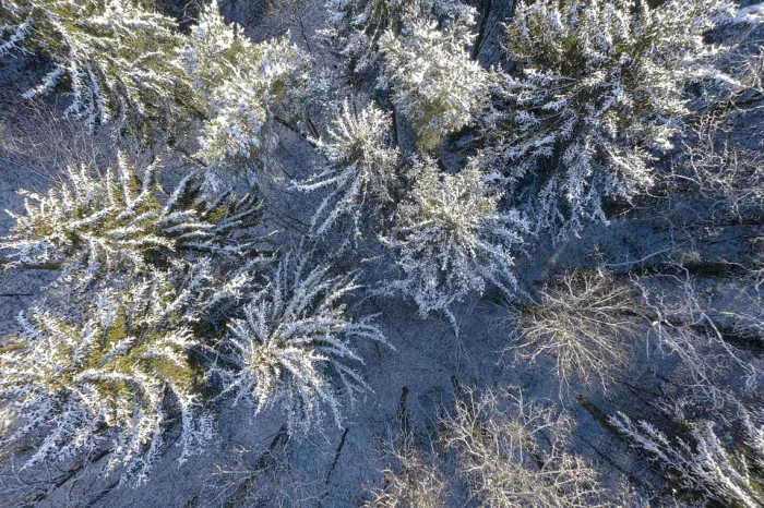 Без осадков и до +11°C ожидается в Гомеле 15 марта