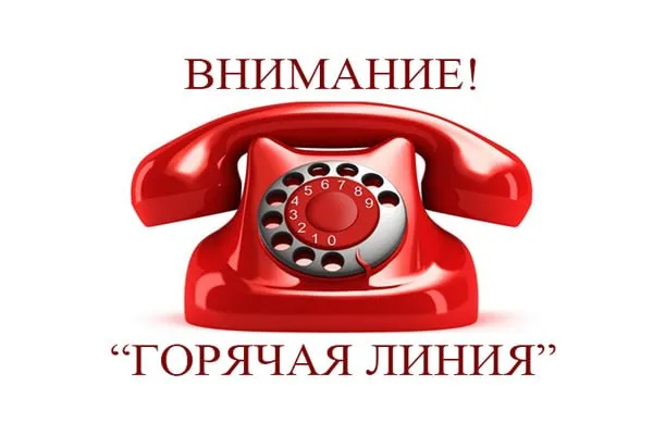 В Министерстве образования работает горячая телефонная линия по вопросам организации вступительной кампании в 2026 году