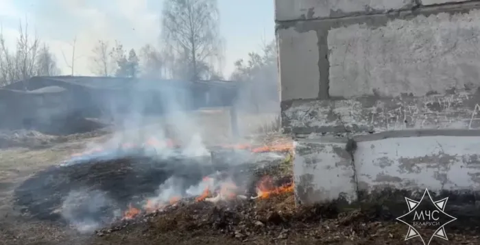 С начала года в области зафиксировано 236 пожаров в природных экосистемах