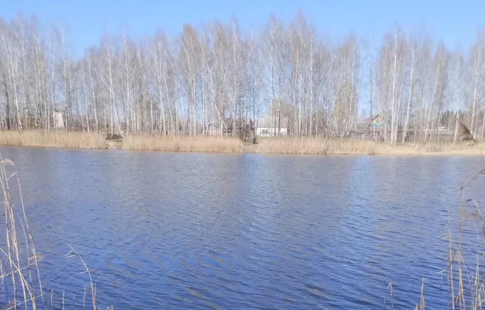 В Кормянском районе в озере утонул мужчина