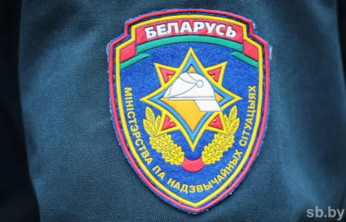 В Речицком районе пожар повредил на усадьбе дом, уничтожил три хозпостройки, два автомобиля
